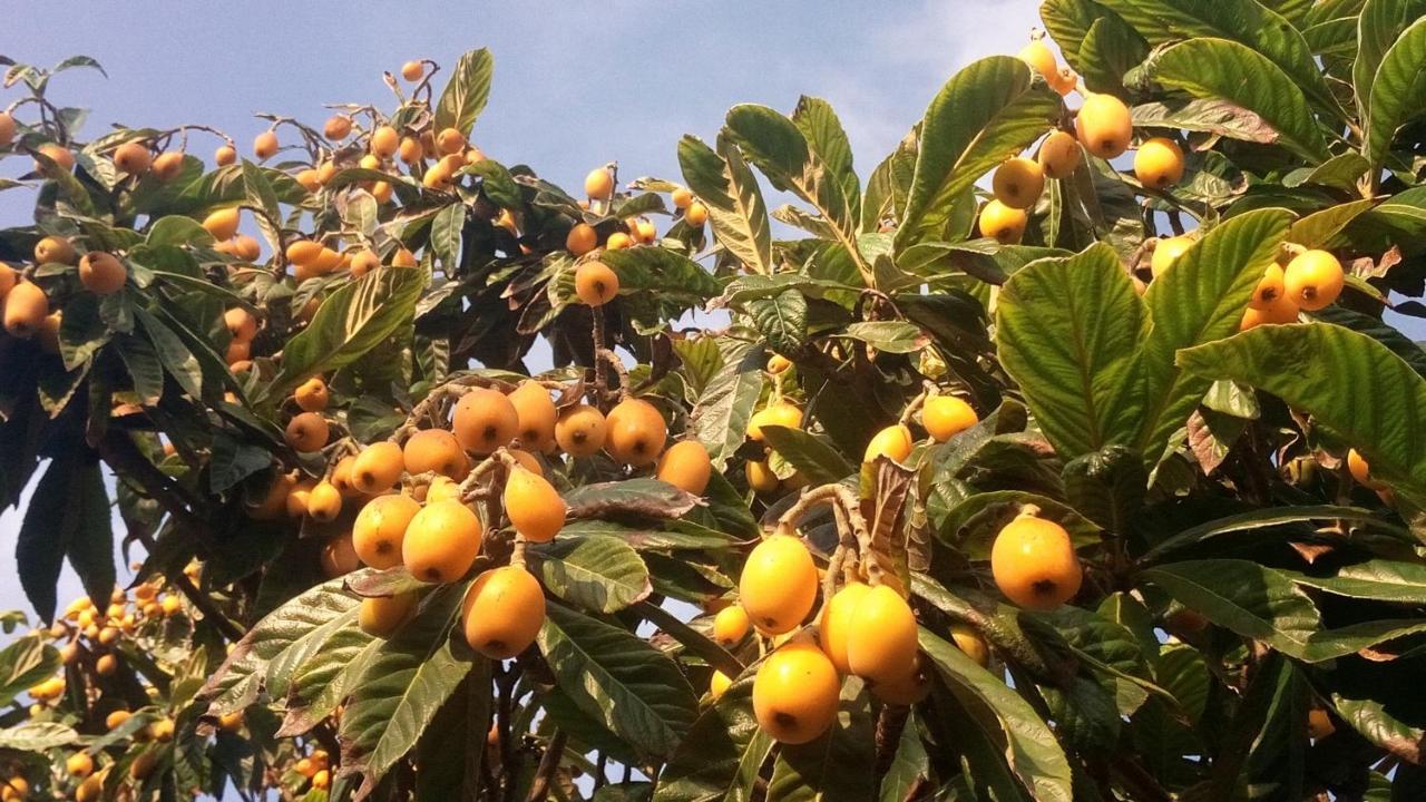 Zagara Di Sicilia Villa Marsala Kültér fotó