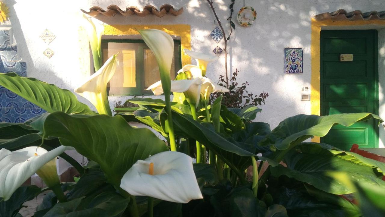 Zagara Di Sicilia Villa Marsala Kültér fotó